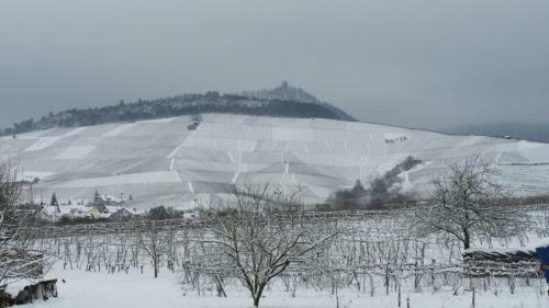 Apartamento Winzerhof Unter Der Yburg
