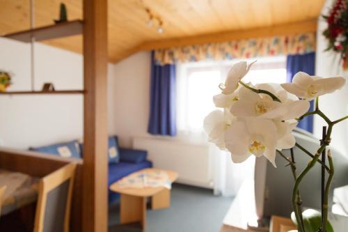 Apartamento Ferienwohnung Anna Falkner