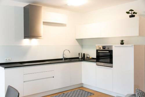 Parksuites Apartments Graz