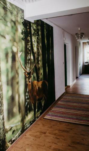 Hostal Pension Leprich