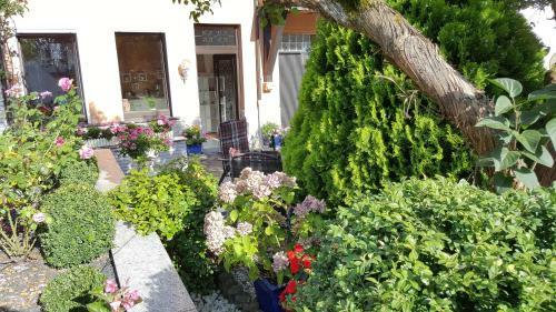 Apartamento Fewo Bl�tenreich