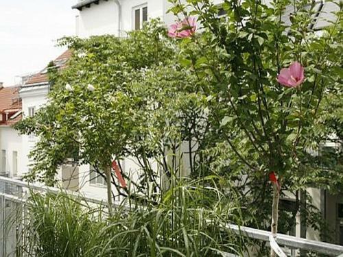 Apartamento Viennaappartement