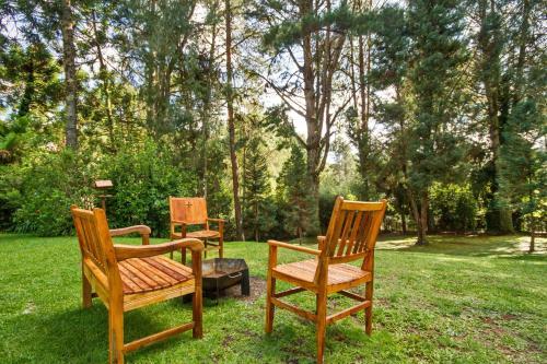 Villa Vintage Campos