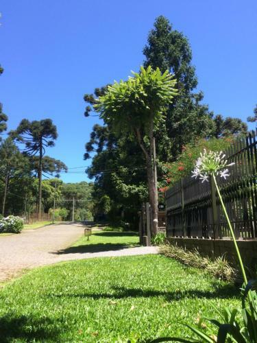 Residencial Jardim Dos Pinheiros 279