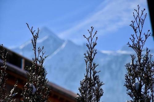 Hostal Boutique Hotel Pinzgauerhof