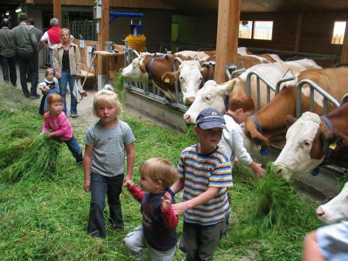 Agroturismo Stoanahof