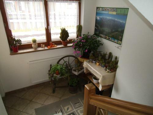 Apartamento Haus Weidmannsheil