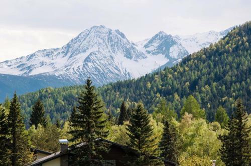 Berghaus Tirol - Luxus Apartement