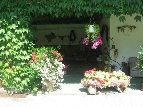 Apartamento Appartment Harreiterhof