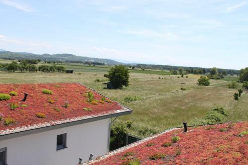 Apartamento Lavate