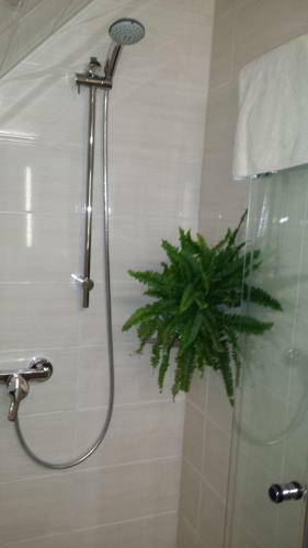 Apartamentos Ferienwohnung-2-im-haus-wildfang