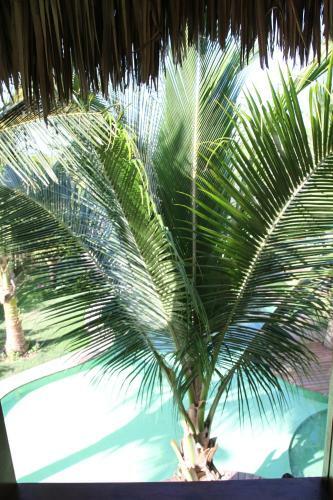 Hostal Vilarejo Barra Grande