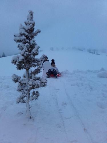 Agroturismo Gro�berghof