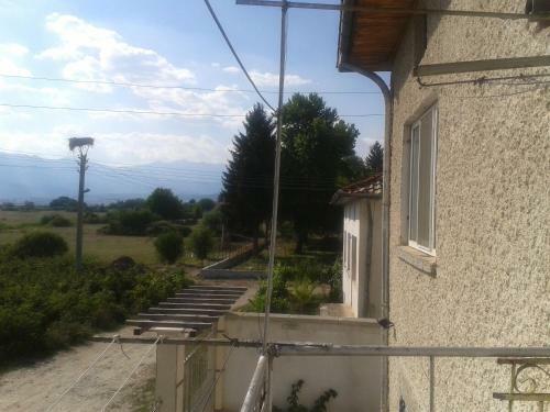 Hostal Guesthouse Tanya