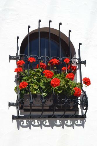 Hostal G�stehaus Falkner Dorli