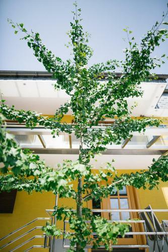 Apartamentos Pension - Ferienwohungen Zollner