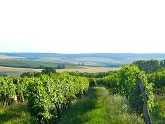 Agroturismo Landhaus Zum Siebenschl�fer