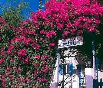 Hotel Pension George