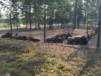 Hotel Reima Country Center