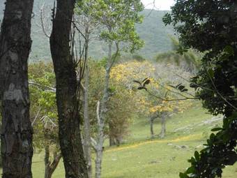 Casa Na Praia Do Matadeiro