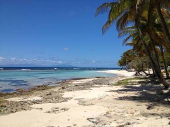 Villas Coccoloba & Jacaranda