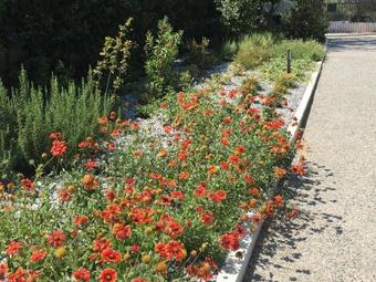 Pleiades Boutique Villas