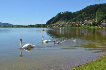 Chalet Sonnenhang A33