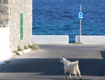 Bed & Breakfast Pansion Maria