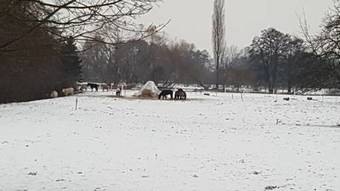 Posada Gasthaus Schillebold