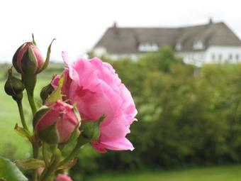 Apartamentos Ferienwohnung-meeresleuchten