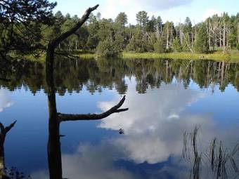 Apartamento Blackforest Ferienwohnung