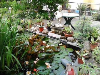 Apartamento Ferienwohnung-der-familie-thierse