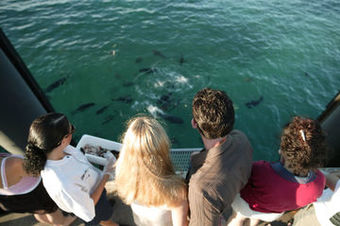 Hotel Green Island Resort (suite Arrecife)