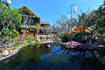 Hotel Phu Chaisai Mountain Resort & Spa Chiang Rai