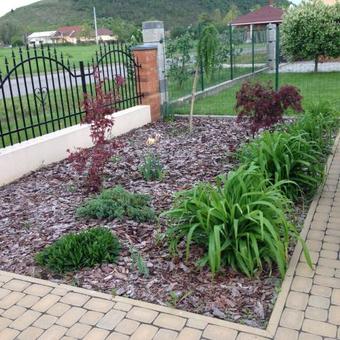 Hostal Vidor Vend�gh�z