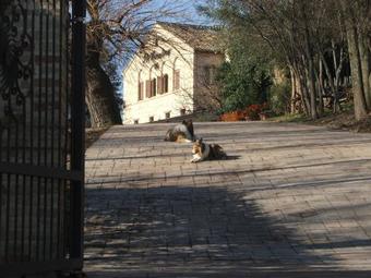 Agroturismo Il Casale Dell'acquabona