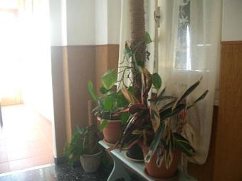 Hostal Corniglia Dreams