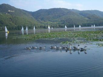 Agroturismo Colli Berici