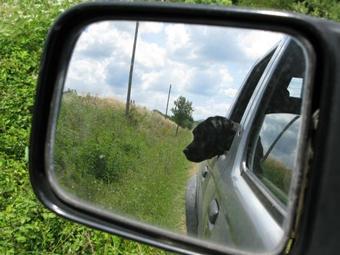 Apartamento Tenuta Di Paganico