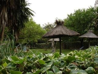 Apartments Spiti Prifti