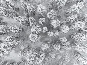 Trail-inn Natur & Sporthotel