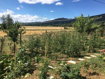 Agroturismo Sulla Strada Di San Francesco