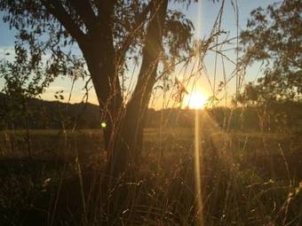 Agroturismo Agriturismo Poggio Paradiso