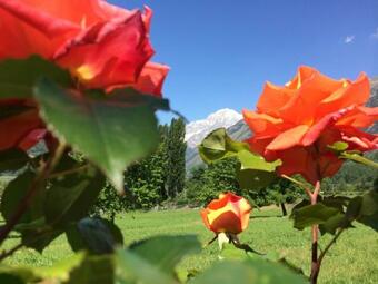 Bed & Breakfast Residenza Villamour Boutique Hotel & Spa