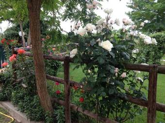 Agroturismo La Locanda Del Tevere