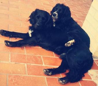 Agroturismo Country-house Pecora Nera