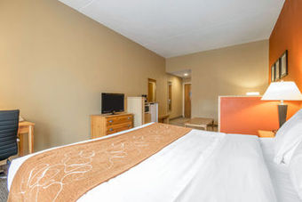 Hotel Comfort Suites Airport