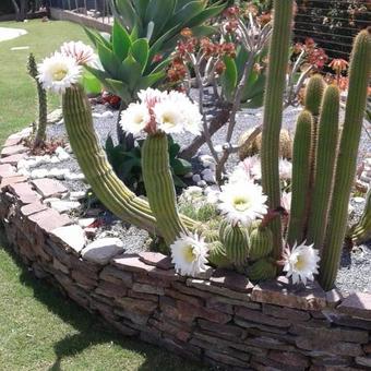 Bed & Breakfast Villa Rosanna