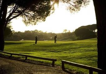 Sunny Lounge Apartment