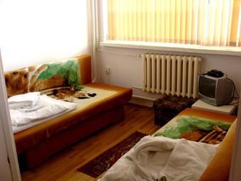 Hotel Le?na Przysta?